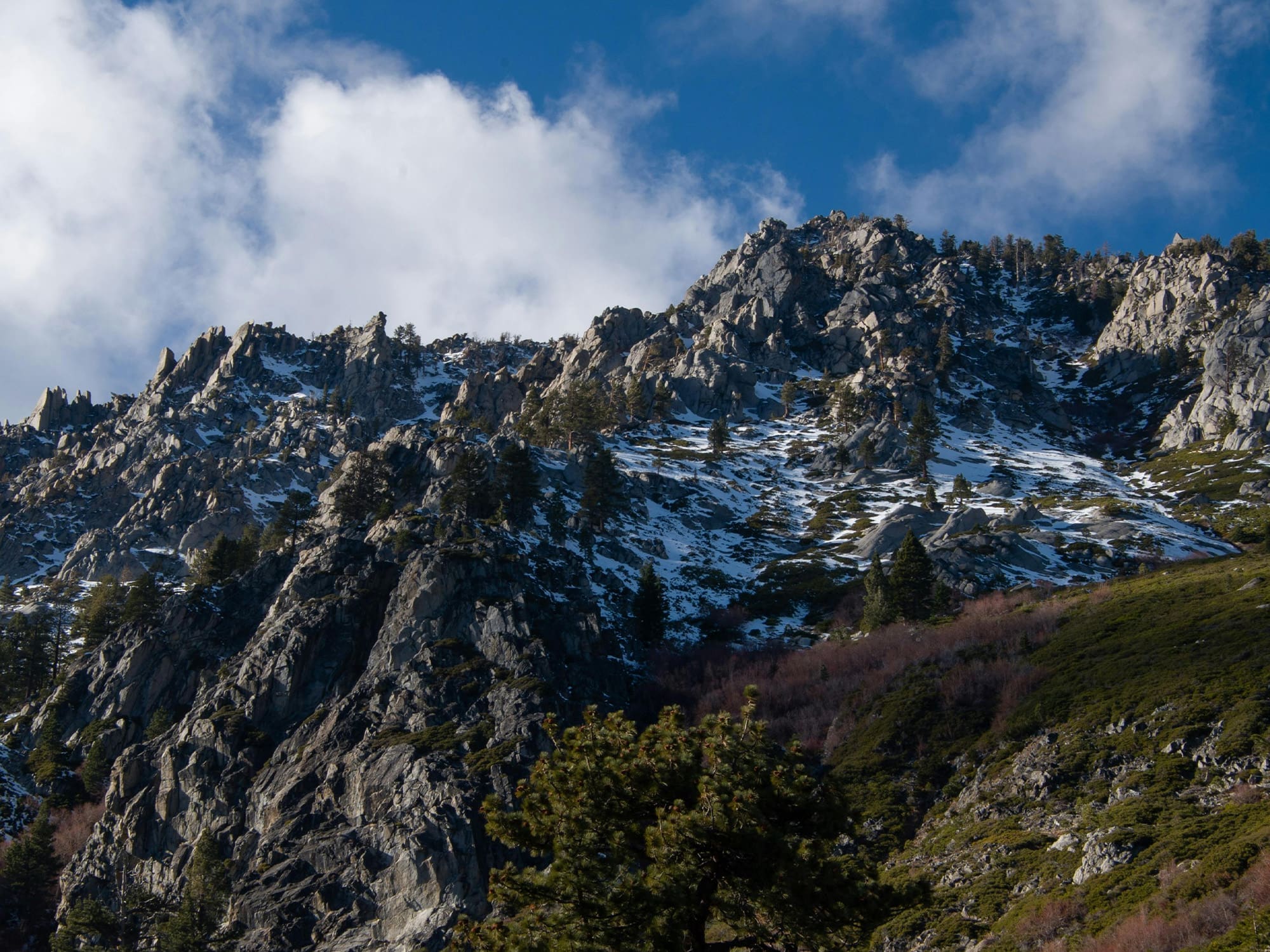 Legal services in Northern Nevada