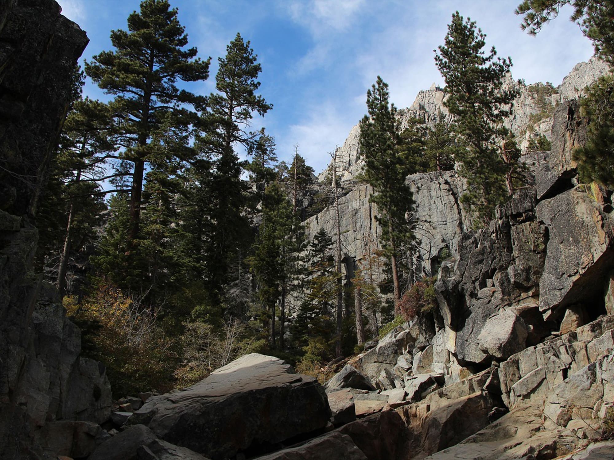 Legal services in Northern California