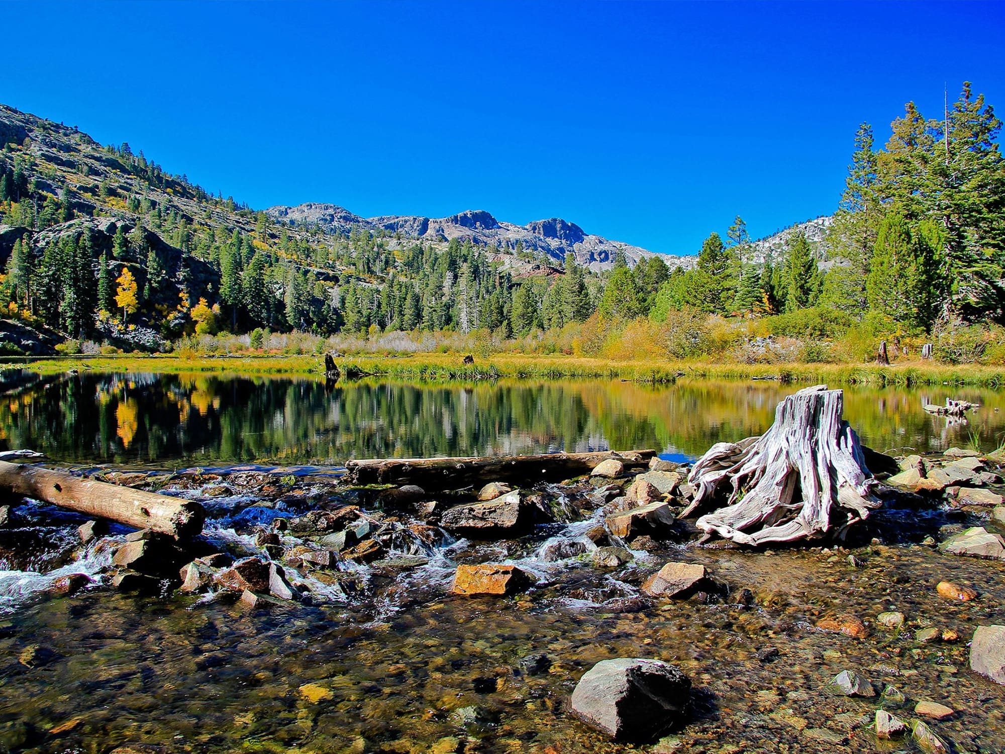 Legal services in Lake Tahoe