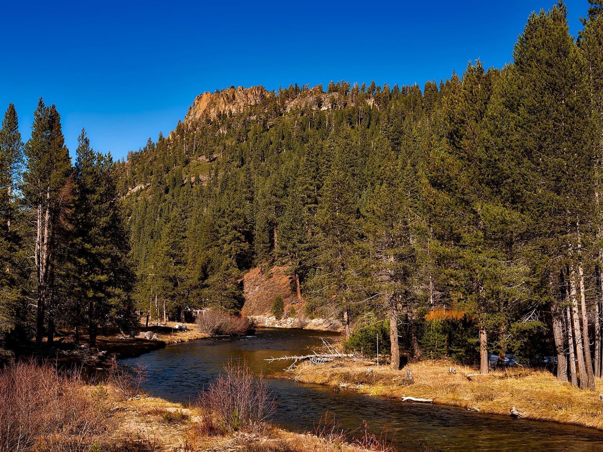 Local Legal services near me